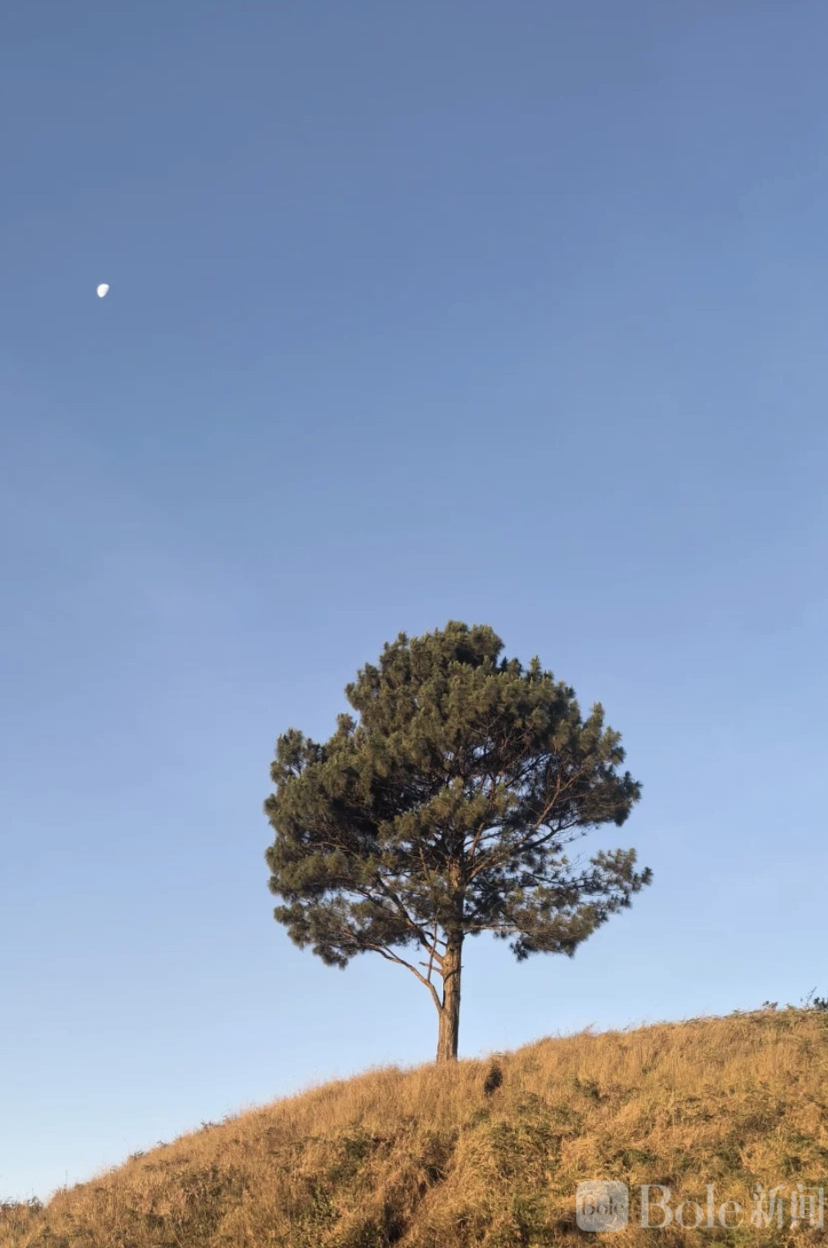 图像2026-2-10 10.26 (2).jpeg