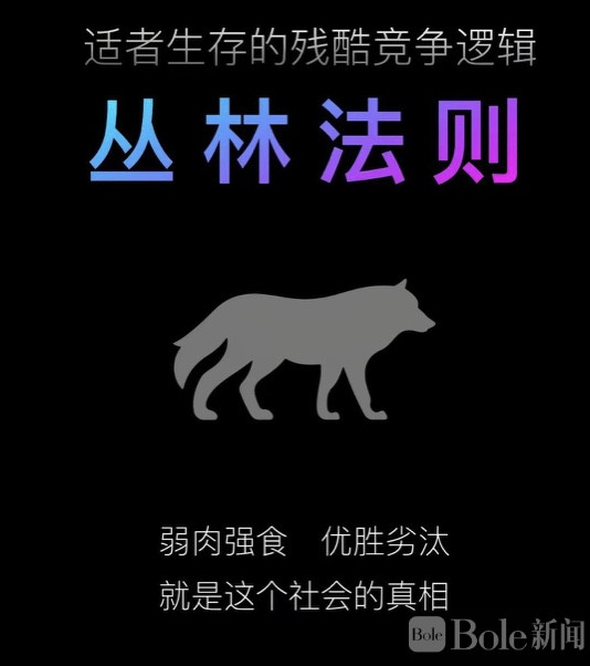 图像2026-2-10 10.30.jpeg