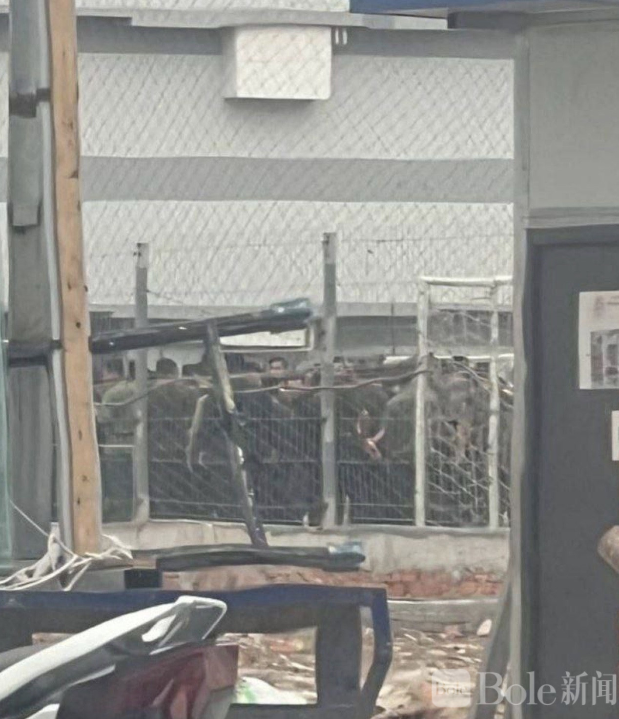 图像2026-2-28 12.46.jpeg