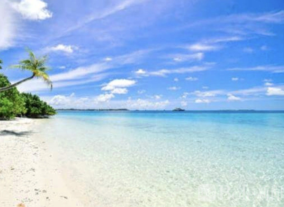 图像2026-3-2 12.25.jpeg