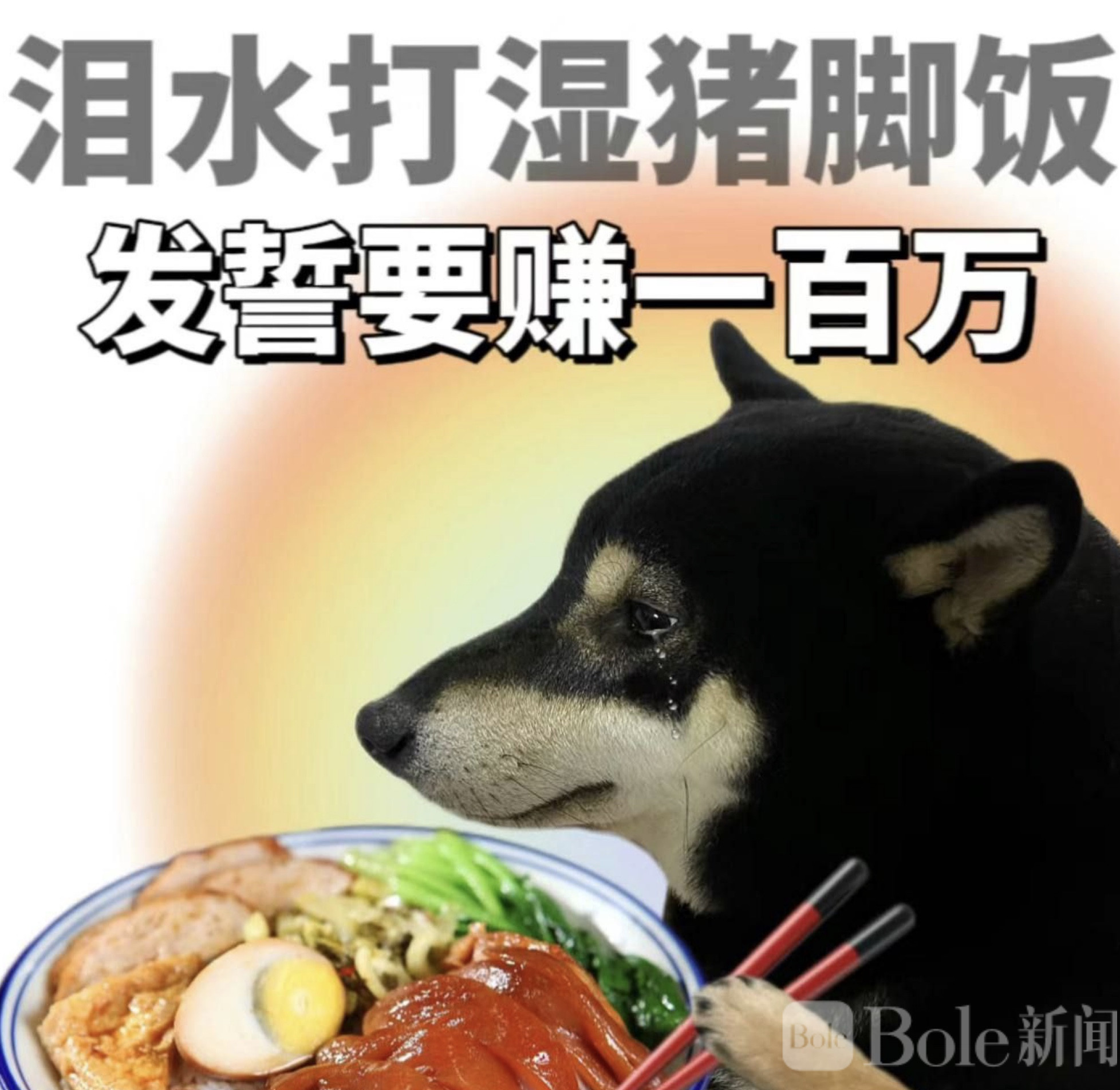 图像2026-3-19 12.34.jpeg