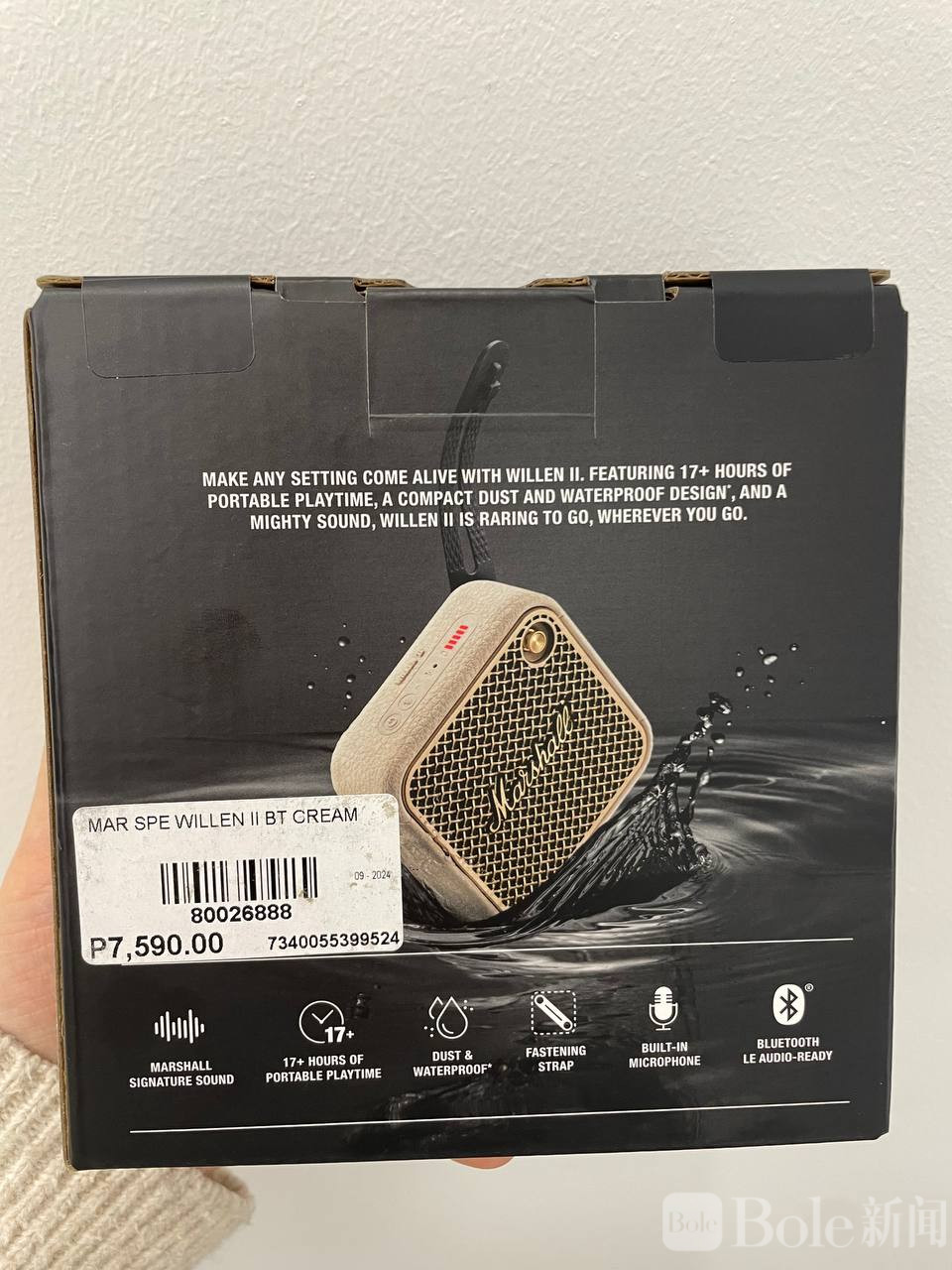 photo_2026-03-19 16.28.40.jpeg