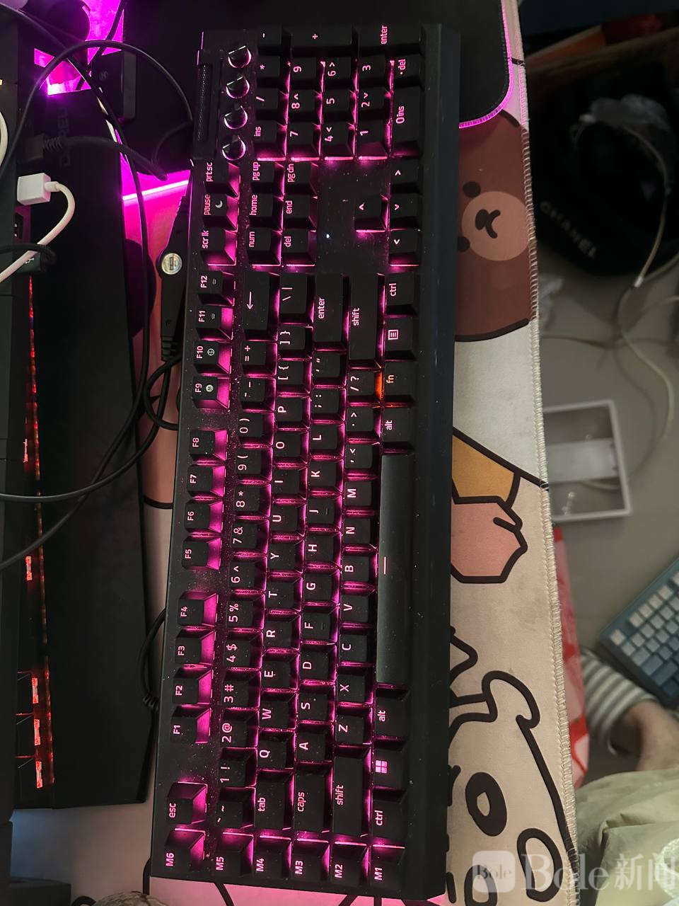 photo_2026-03-21 14.29.17.jpeg