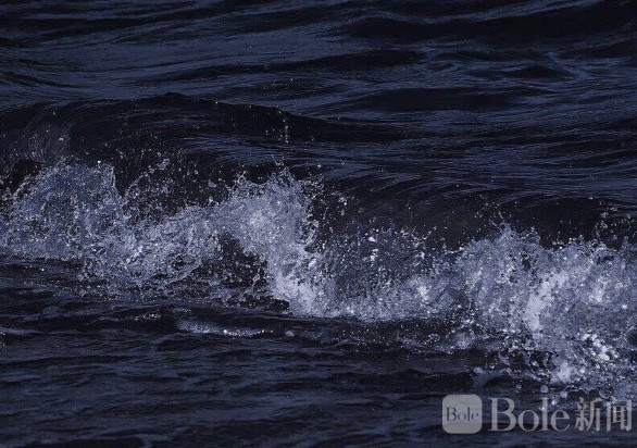 图像2026-3-23 12.31.jpeg