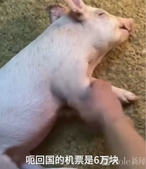 图像2026-4-14 12.36.jpeg