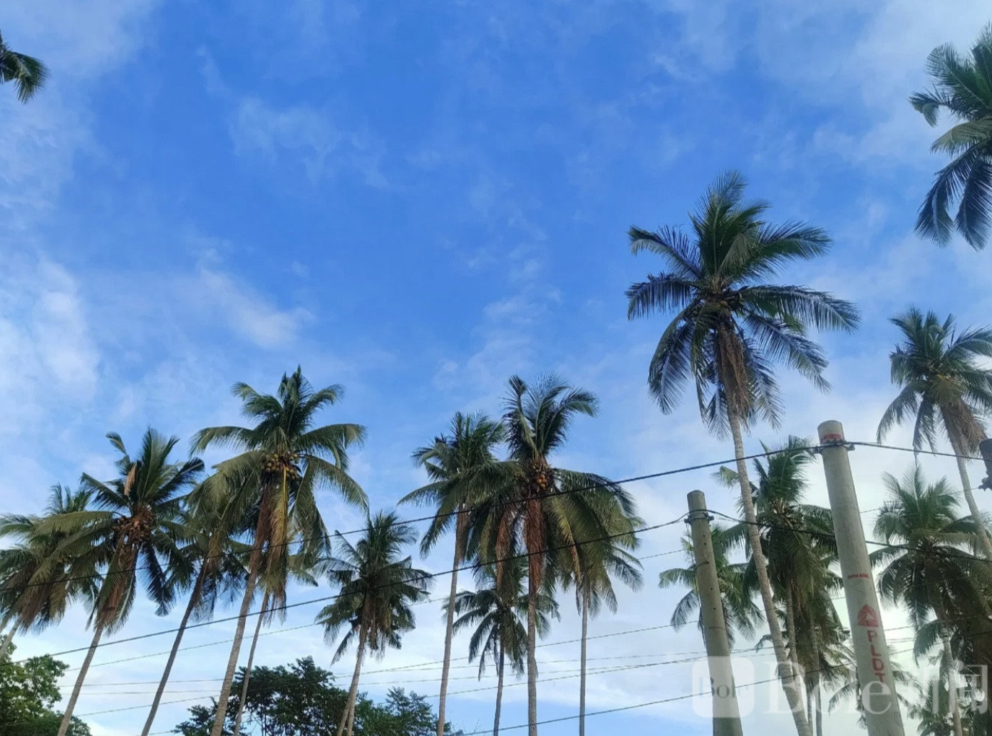 图像2026-4-27 12.19.jpeg