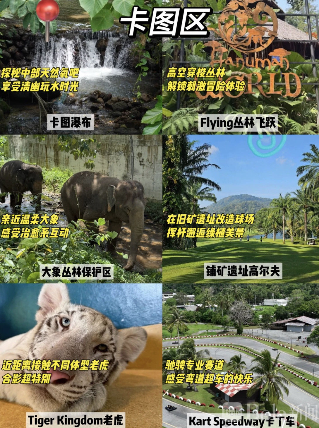 图像2026-5-11 16.31 (3).jpeg