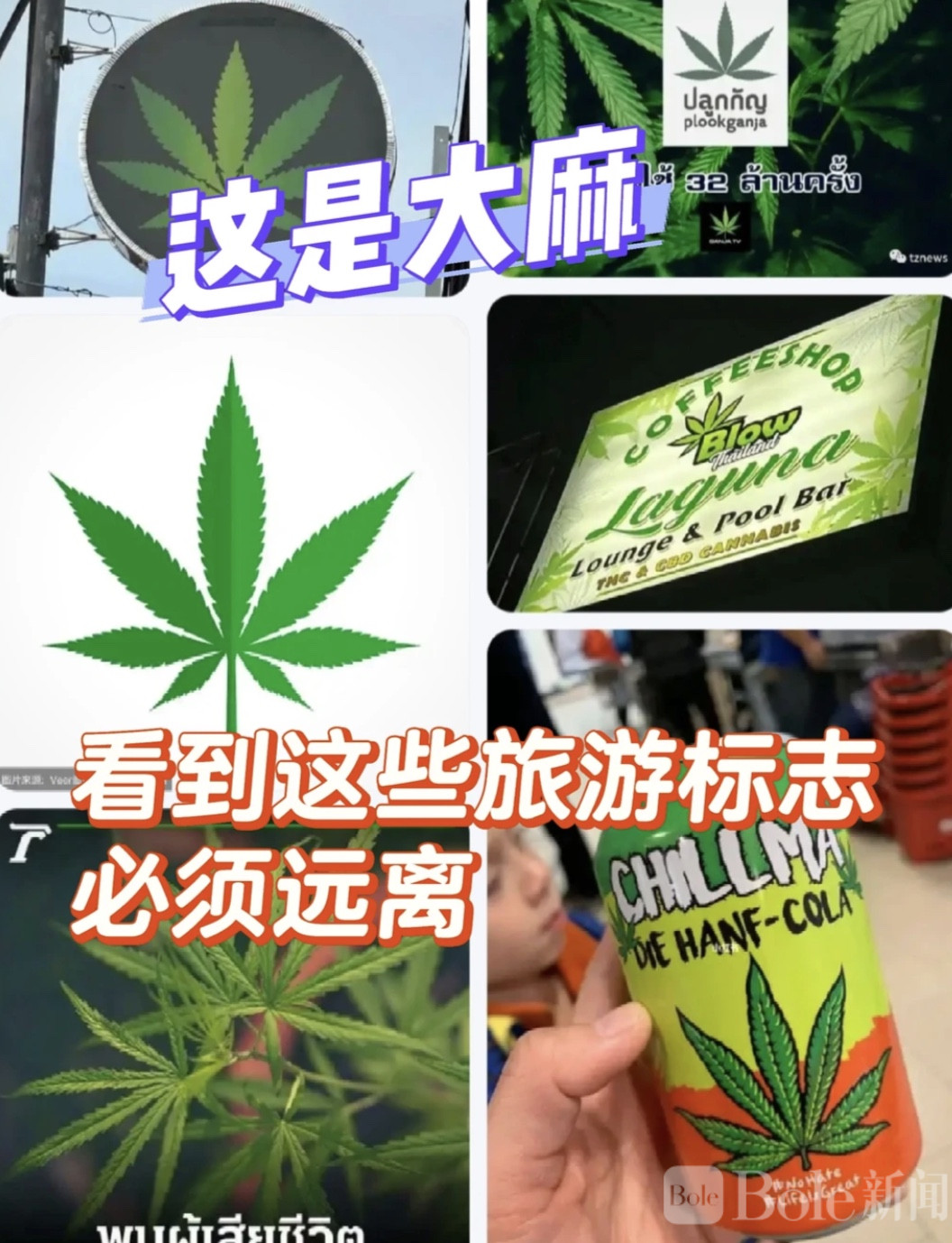 图像2026-5-25 16.20.jpeg