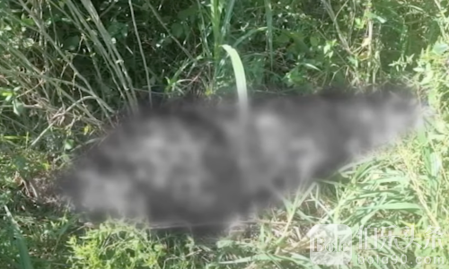 女警遭枪杀弃尸水沟！8岁儿子被塑料袋活活闷死震惊菲律宾