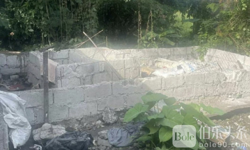 菲律宾失踪警官被发现死于化粪池，同事认罪嫌犯逃亡中！