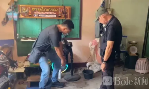 泰国男子腿部中弹案反转！现场枪支疑遭人调包